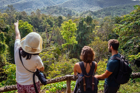 Enjoy Sticky Waterfall &amp; Chet Si Fountain National Park