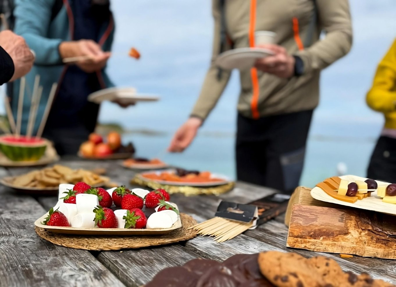 Tromsø: Fjord- og Sommarøy-tur med laksepicnic