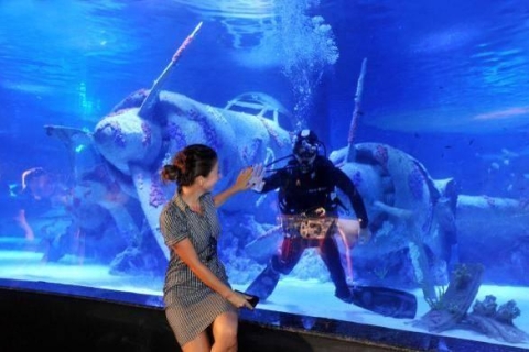 Aquarium d’Antalya : billet d’entrée avec transfertEntrée de l’aquarium d’Antalya avec transfert depuis Alanya