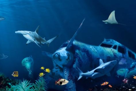 Aquarium d’Antalya : billet d’entrée avec transfertEntrée à l’aquarium d’Antalya avec transfert depuis Side
