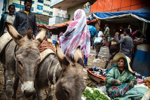 Wycieczka po mieście Addis Abeba przez pół dnia + kolacja