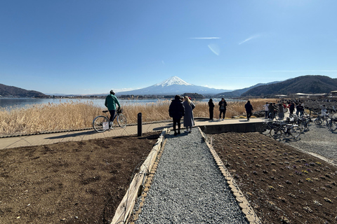 Tokyo: Mt Fuji A Journey Through Nature, History & Culture Tokyo: Mt Fuji A Journey Through Nature, History, & Culture