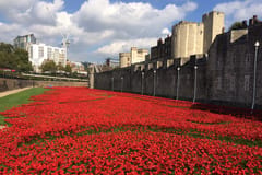 London: Themse-Kreuzfahrt nach Greenwich mit privatem Guide