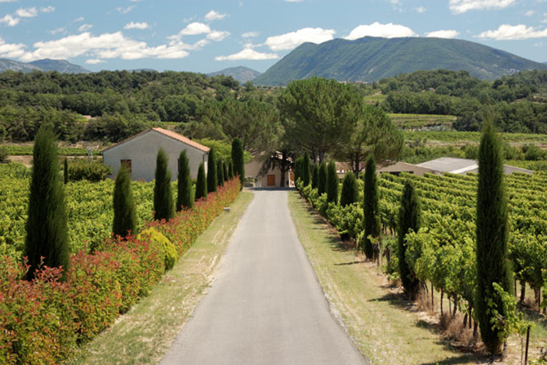 Countryside tour in Provence from Nice