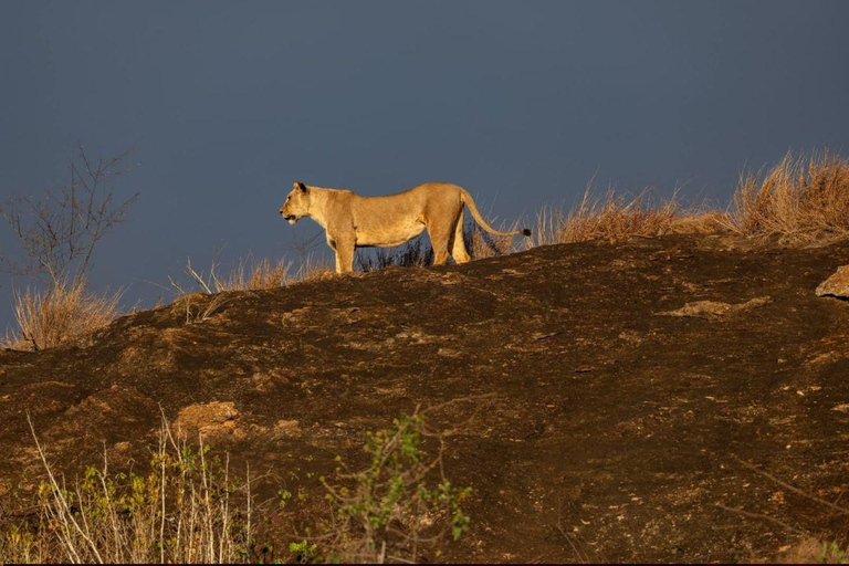 Mombasa/Diani: Taita Hills 2-Day Safari with Meals & Pickup