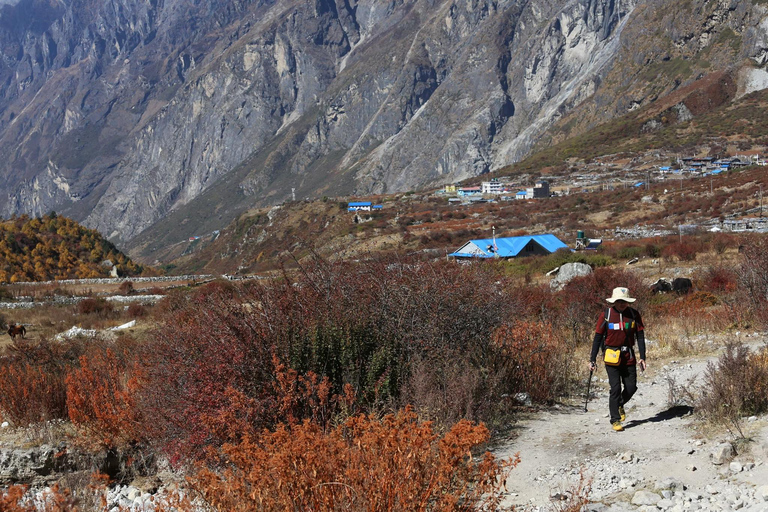 Journey Through Langtang: A 6-Day Trek with Meals