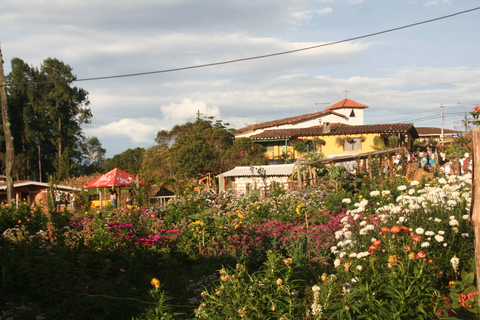 From Medellin: Flower Farm Tour