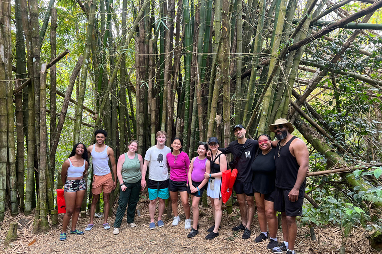 San Juan: El Yunque Regenwaldwanderung &amp; Luquillo BeachSan Juan: Wanderung durch den Regenwald El Yunque &amp; Luquillo Beach