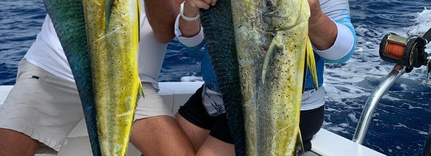 4 heures de pêche ou de plongée avec tuba