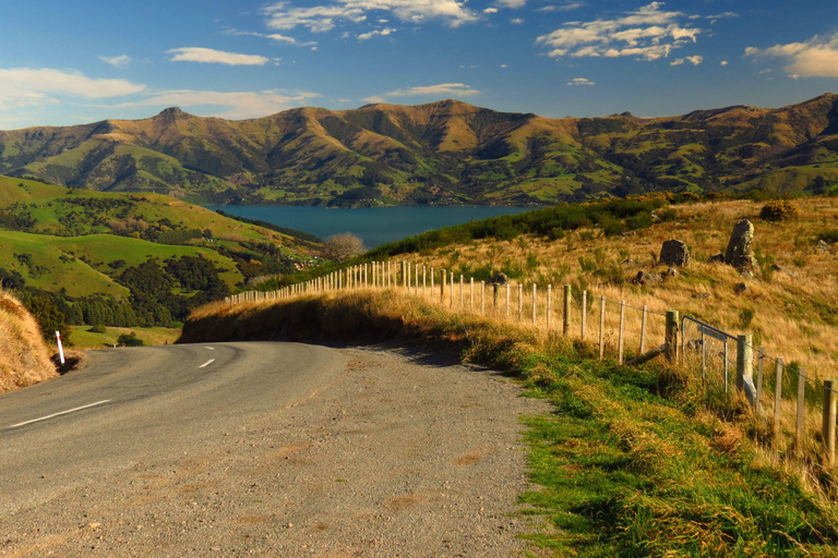 Christchurch: Excursión de un día a Akaroa y la península de Banks