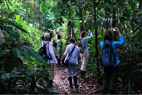 Desde Cusco: tour de 3 días a la Amazonia peruana con bus cama y lodge