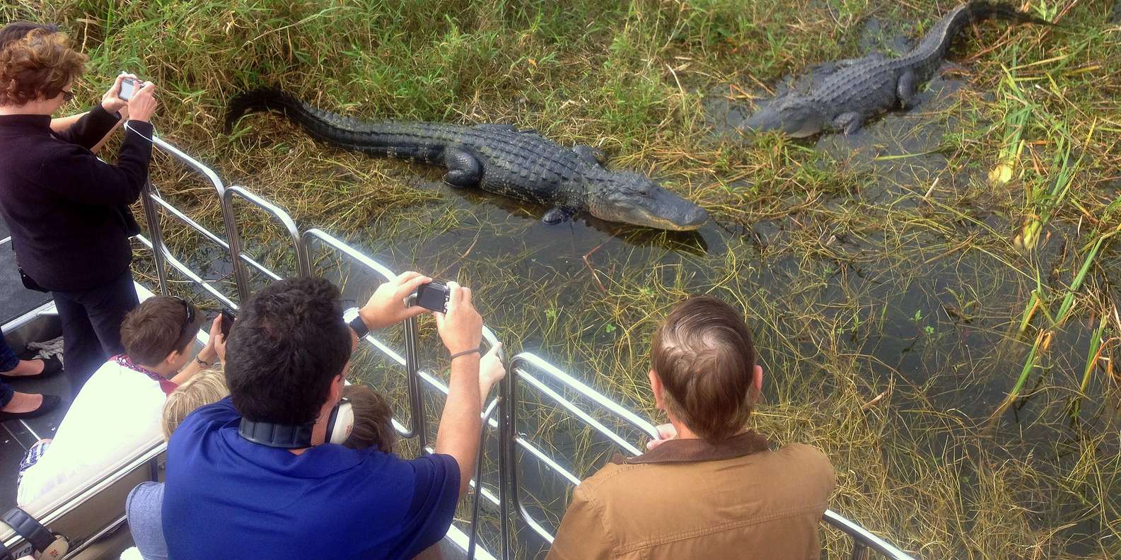 10 Best Airboat Tours In Orlando, FL