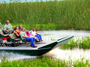 Tagestour ab Orlando: Wildes Florida Tagestour ab Orlando: Wildes Florida