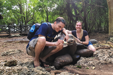 Zanzibar: Stone Town, Spice Farm, and Prison Island Tour