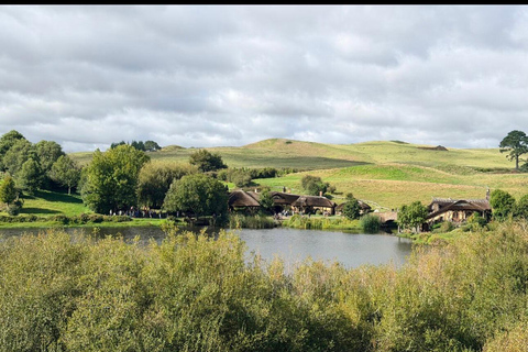 Auckland: Hobbiton& Waitomo private Tour with Hotel Pickup