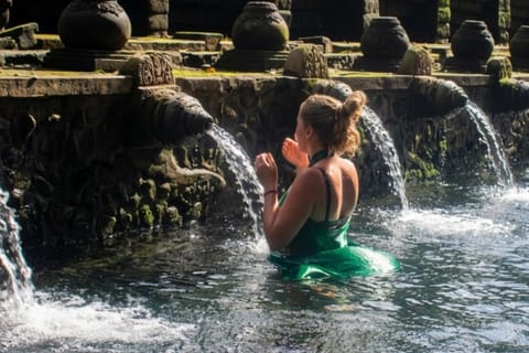 Bali: Ubud & Kintamani Highlands Full-Day private Tour - Image 2