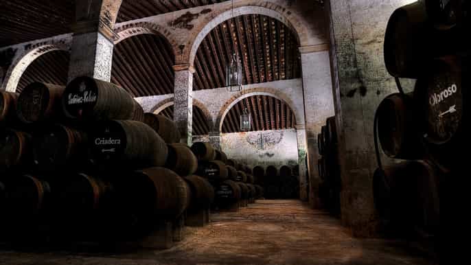 bodegas gutierrez colosia guided visit sherry tasting