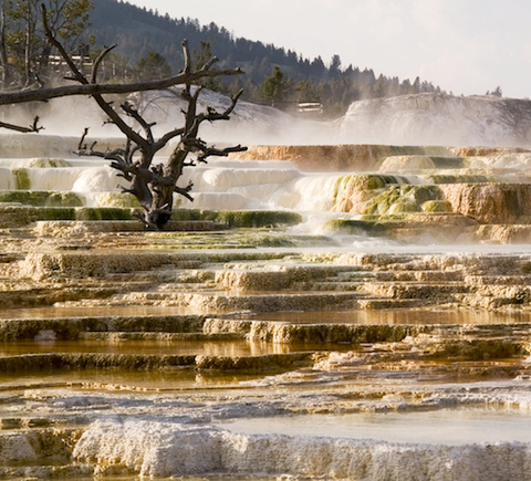 National parks