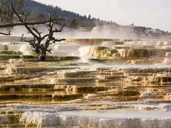 Ab Jackson: Grand Teton & Yellowstone 2-Tage- / 1-Nacht-Tour Ab Jackson: Grand Teton & Yellowstone 2-Tage- / 1-Nacht-Tour