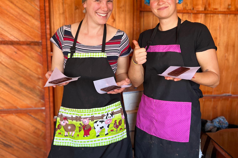 Workshop sensorial com o melhor cacau do PeruWorkshop sensorial privado com o melhor cacau do Peru