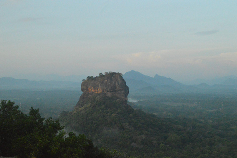Sigiriya Treehouse Adventure – 3 Days 2 Nights from Colombo