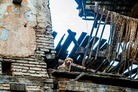 第比利斯：与 Chacha 一起徒步导览法布里卡和 Chughureti英语 - 小型团体之旅 - 3 小时