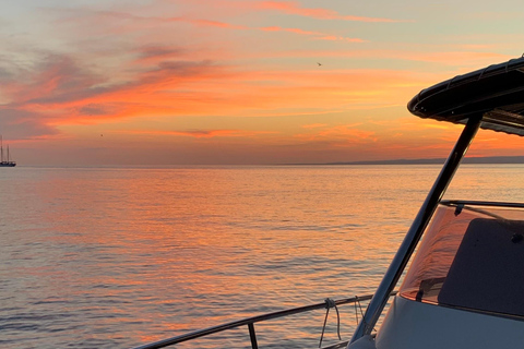 Marseille: Sunset Boat Cruise with Buffet and Organic Wine Sunset Boat Cruise with Dinner & Drinks (Théatre Criée)