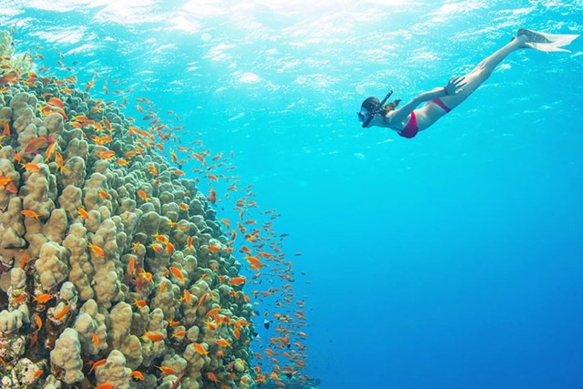 Visit Bali All-Inclusive Snorkeling at Blue Lagoon Beach in Candidasa