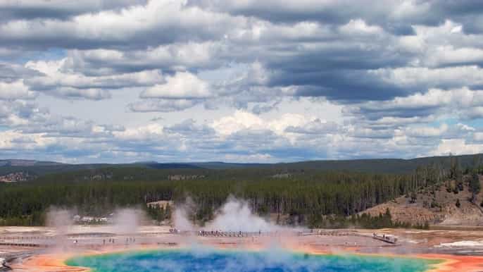 grand teton and yellowstone 4 day 3 night wildlife tour