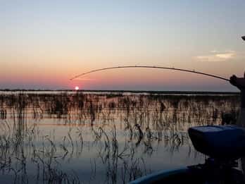 Lake Okeechobee Angeltouren Lake Okeechobee Angeltouren