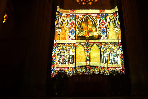Seville: Cathedral of Seville Guided Night Tour & Light Show