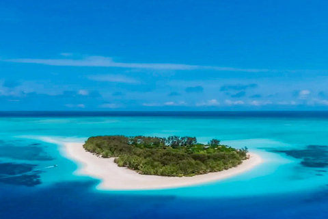 Zanzibar: Mnemba Blue Safari i spotkanie z delfinamiMnemba: delfiny i rafa – wycieczka grupowa