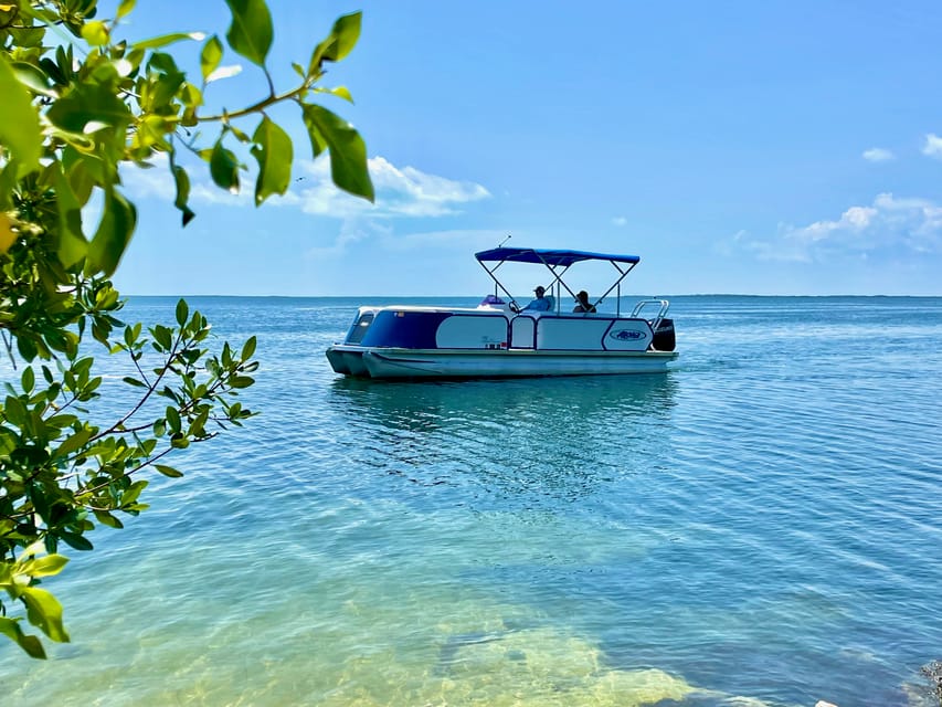 Key Largo Pontoon Boat Rentals | GetYourGuide