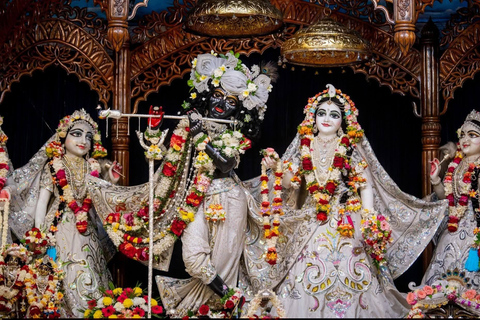 From Kolkata: Mayapur Temples and Teachings Private Day Trip