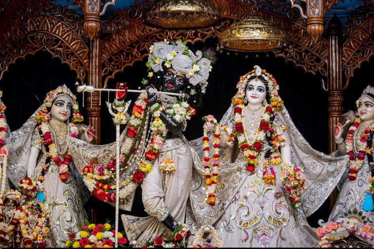 From Kolkata: Mayapur Temples and Teachings Private Day Trip
