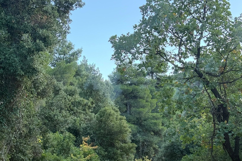 Athens Adventure Tour in Parnitha Mountain with 650cc ATVs Athens 3 Hours ATV Tour