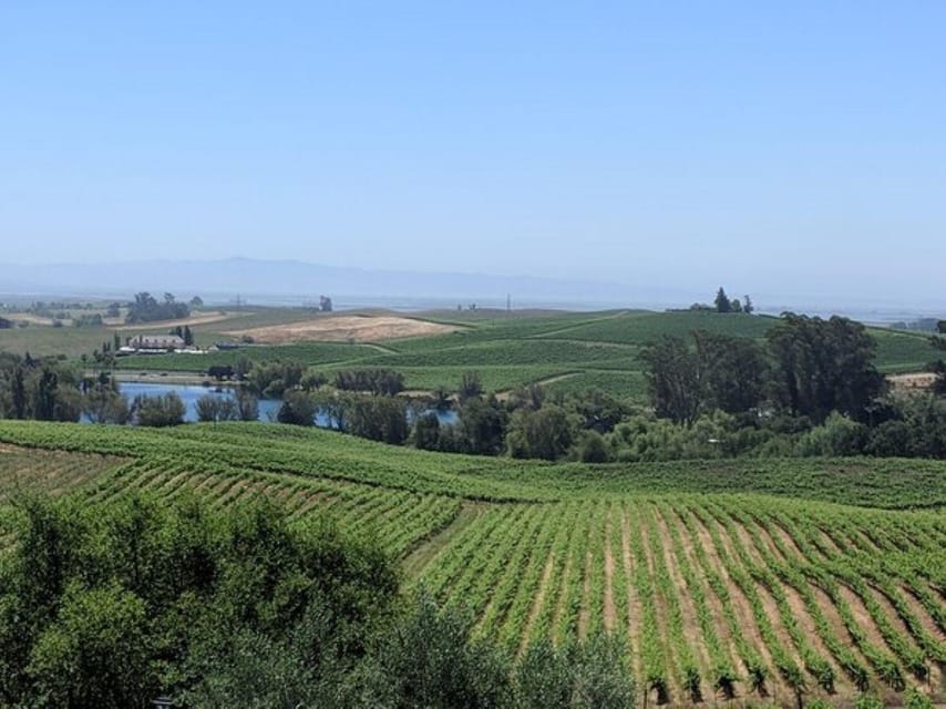 San Francisco: Napa and Sonoma Valley Private Wine Tour image 1