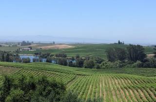 San Francisco: Napa und Sonoma Valley Private Weintour