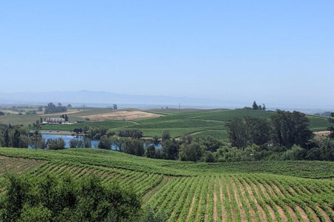 سان فرانسيسكو جولة نبيذ خاصة في نابا ووادي سونوماجولة لمدة 8 ساعات