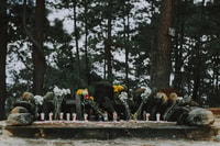 De la ciudad de Guatemala Chichicastenango en 1 día. - Housity