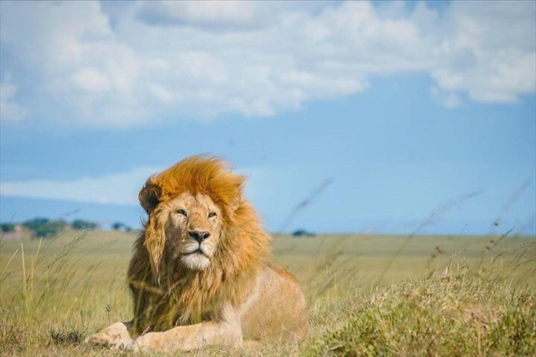 Serengeti: 3-Day Migration Safari with Hot Air Balloon Ride