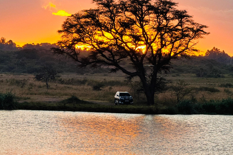 Nairobi Park Safari, Sheldrick's Orphanage & Giraffe Center Shared Drive in Open-Roof Van Game Drive