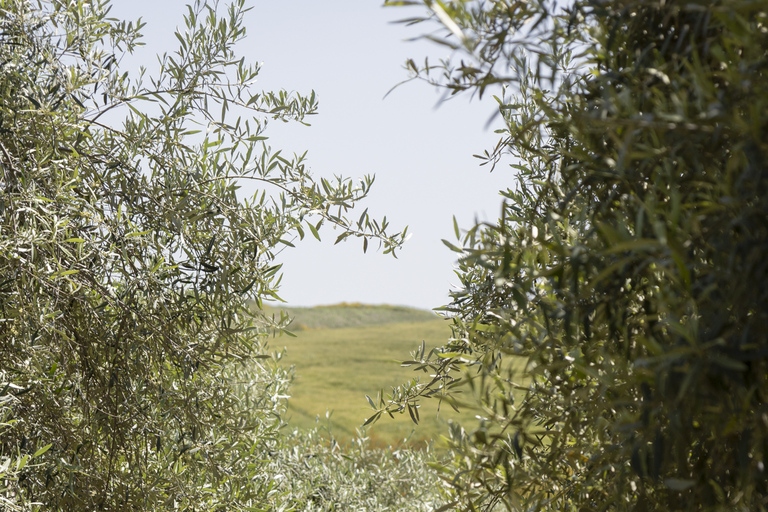 Safari at Tenuta Frasson Farm