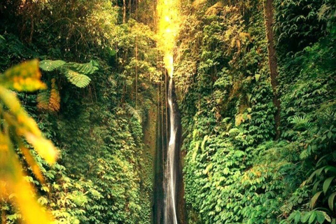 Bali: Jatiluwih Rice Terraces, Waterfall & Temple Tour