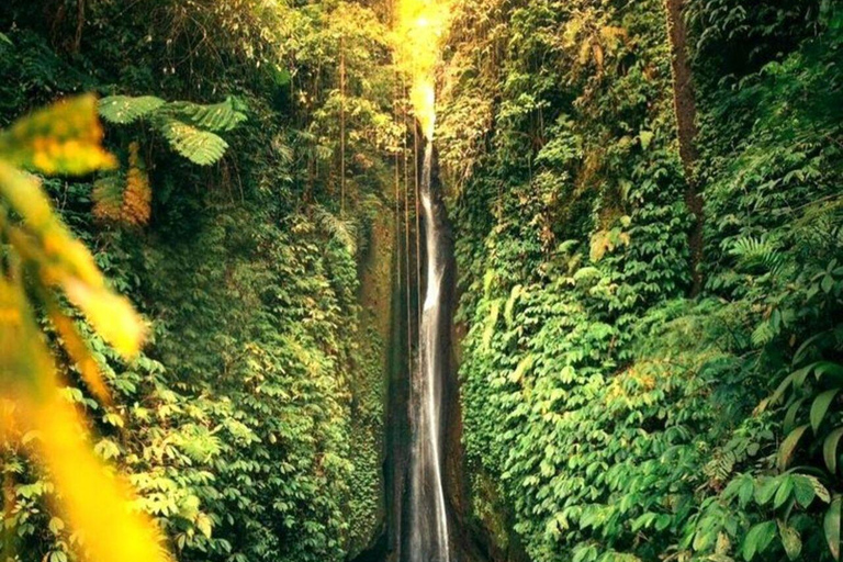 Bali: Jatiluwih Rice Terraces, Waterfall & Temple Tour