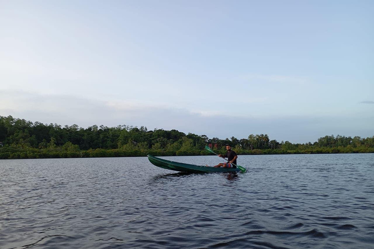 Mirissa: Kayak Safari Adventure Through Mangrove Double Kayak (2 Persons)