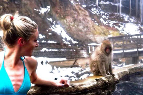 From Tokyo: Nagano Full Day Private Snow Monkey Park Tour