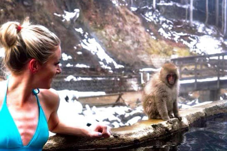 From Tokyo: Nagano Full Day Private Snow Monkey Park Tour