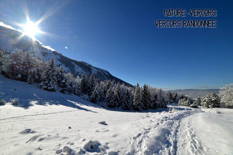 Discovery of the snowy Vercors in snowshoesFrom Gap: Winter Hiking and Rafting in the Vercors