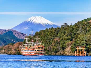 Mt Fuji and Hakone with Cruise, Bus Tour and Bullet Train